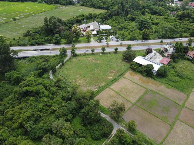 ขายที่ดินในเชียงใหม่ หน้ากว้าง 100 เมตร ติดถนนเชียงใหม่ดอยสะเก็ต
