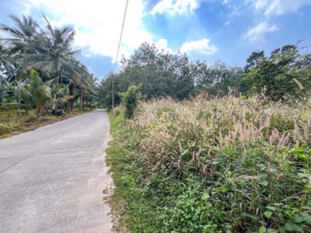 Land for Sale 1 Rai in Taling Ngam Koh Samui Nature view road access ideal for home resort or investment