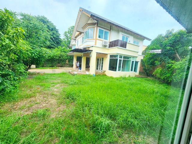 ให้เช่า คฤหาสน์ 2หลัง นานาชาติเด่นหล้า DBS 3.5กม. Pet Friendly ชัยพฤกษ์-แจ้งวัฒนะ คฤหาสน์ให้เช่า มีเรือนรับรอง ลัดดารมณ์ 4นอน 4น้ำ