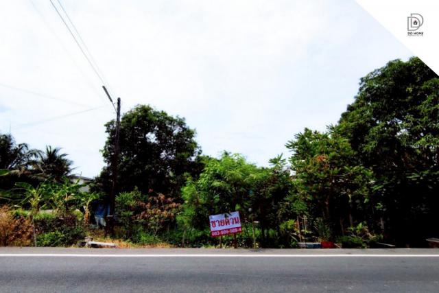 ขายที่ดินเปล่าราชบุรี ดำเนินสะดวก-ราชบุรี (DD002030)