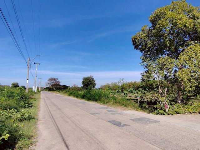 ขายด่วน ที่ดินสวนผัก 4-0-38 ไร่  ใจกลางเมืองนครราชสีมา ใกล้ถนนมิตรภาพ   ZE820