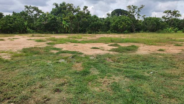 ขายที่ดินเปล่า ทำเลดี อำเภอสารภี จังหวัดเชียงใหม่
