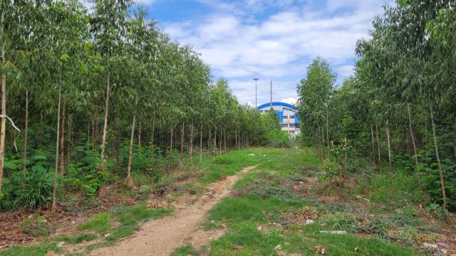ขายที่ดินเปล่าติดถนนใหญ่ทำเลทอง  อำเภอวังน้อย จังหวัดอยุธยา  