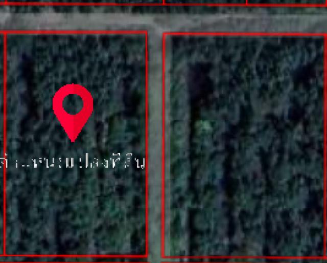 ขายที่ดินเปล่า ทำเลทอง อำเภอองครักษ์ จังหวัดนครนายก