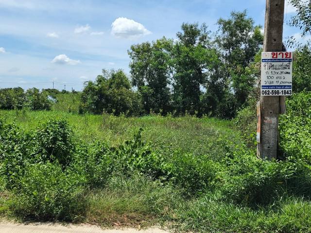 ที่ดิน - ทำเลน่าอยู่