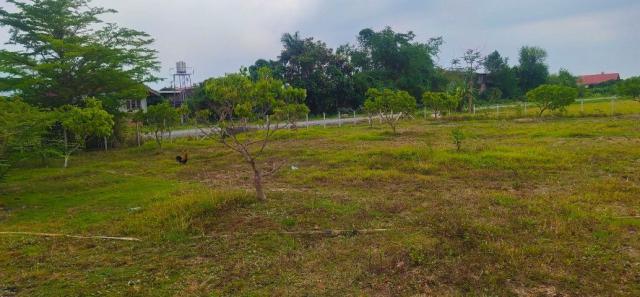 ขายที่ดินสวยสวนลำใย ทำเลทอง ต.ทุ่งต้อม อ.สันป่าตอง จ.เชียงใหม่