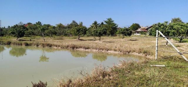 ขายที่ดินสวยสวนลำใย ทำเลทอง ต.ทุ่งต้อม อ.สันป่าตอง จ.เชียงใหม่