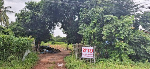 ขายที่ดินหัวมุม ทำเลทอง ติดถนน2ด้าน ด้านหน้าติดถนน4เลน อำเภอป่าติ้ว จังหวัดยโสธร