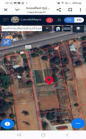 ขายที่ดินหัวมุม ทำเลทอง ติดถนน2ด้าน ด้านหน้าติดถนน4เลน อำเภอป่าติ้ว จังหวัดยโสธร