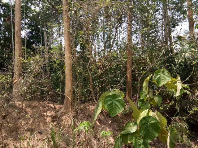 ขายที่ดินเปล่า ติดถนน ทำเลดี จังหวัดระยอง