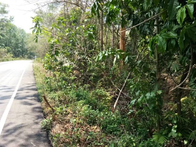ขายที่ดินเปล่า ติดถนน ทำเลดี จังหวัดระยอง