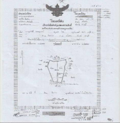 ขายที่ดินติดถนน ทำเลดี อำเภอเเก่งคอย จังหวัดสระบุรี