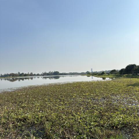 ขายที่ดินแปลงใหญ่ ทำเลทอง ใกล้ ABAC บางนา 