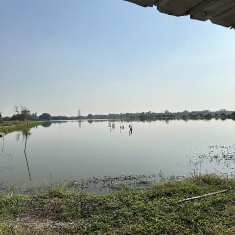 ขายที่ดินแปลงใหญ่ ทำเลทอง ใกล้ ABAC บางนา 