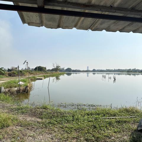 ขายที่ดินแปลงใหญ่ ทำเลทอง ใกล้ ABAC บางนา 