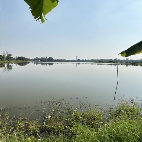 ขายที่ดินแปลงใหญ่ ทำเลทอง ใกล้ ABAC บางนา 