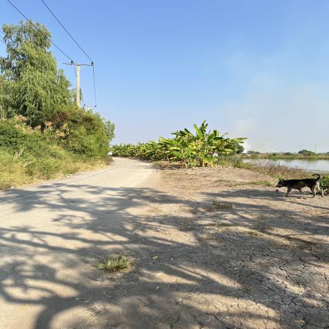 ขายที่ดินแปลงใหญ่ ทำเลทอง ใกล้ ABAC บางนา 