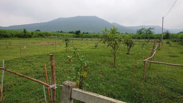 ขายที่ดิน พร้อมบ้านพักตากอากาศ ทำเลดี วิวสวย อากาศเยี่ยม ใกล้กับสถานที่ท่องเที่ยว อำเภอปากช่อง จังหวัดนครราชสีมา 