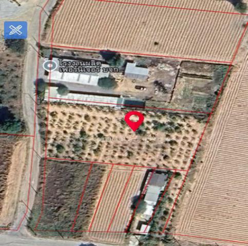 ขาย! ที่ดินเปล่า ศรีราชา ติดถนน วิวเขา สวนเสือ - หนองเลง ซอย9 TP-L1382