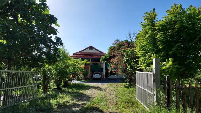 ขายบ้านพร้อมที่ดิน ทำเลทอง ต. บ้านโข้ง  อ.อู่ทอง จ.สุพรรณบุรี 