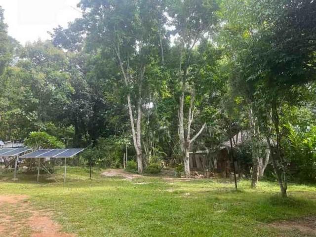 ขายถูกมากที่ดินแปลงใหญ่ 74-3-34 ไร่ ทำเลดี อ.เมืองปาน จ.ลำปาง