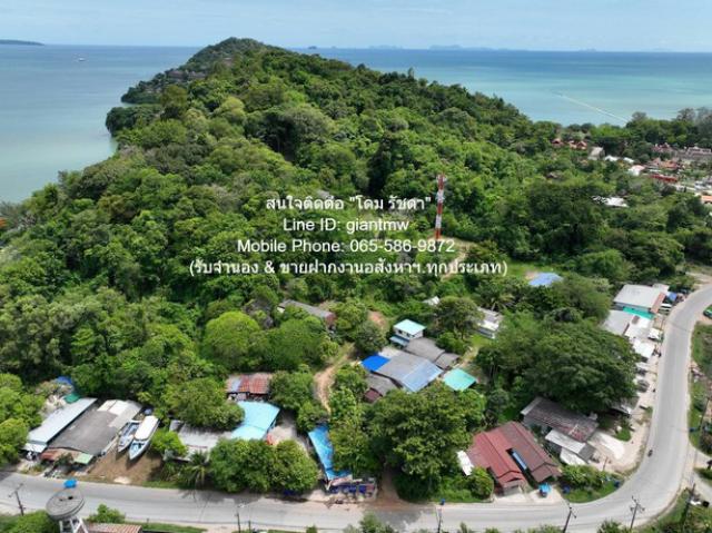พื้นที่ดิน ขายที่ดินสวนป่า บนเนินไหล่เขา วิวทะเล (Seaview) เกาะสิเหร่ ภูเก็ต 5-0-48.7 ไร่ (ห่างชายทะเล 100 ม.), ราคา 76,826,250 บาท (15 ล้านบาท/ไร่)  area 49 ตาราง-วา 0 Ngan 5 RAI 76826250 บาท ไม่ไกลจาก ห่างเทศบาลเมืองภูเก็ต ประมาณ 7 กม. บรรยากาศดี เ
