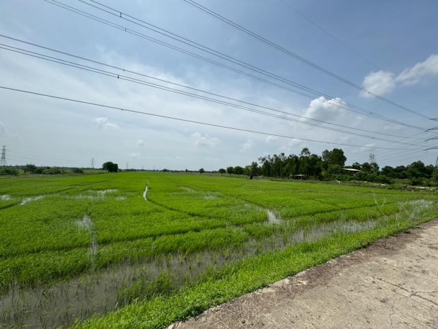 ขายที่ดิน เนื้อที่ 100 ไร่เศษ อ.วังน้อย จังหวัดพระนครศรีอยุธยา