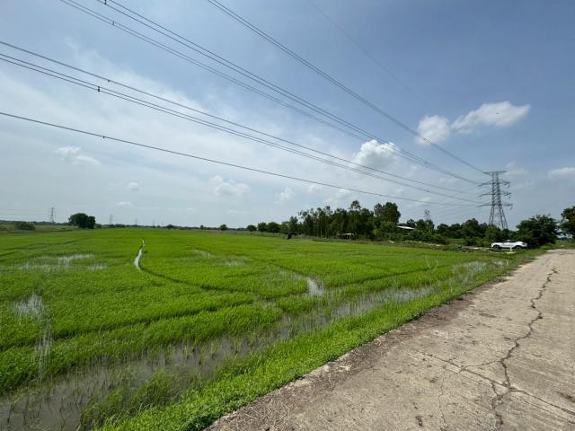 ขายที่ดิน เนื้อที่ 100 ไร่เศษ อ.วังน้อย จังหวัดพระนครศรีอยุธยา