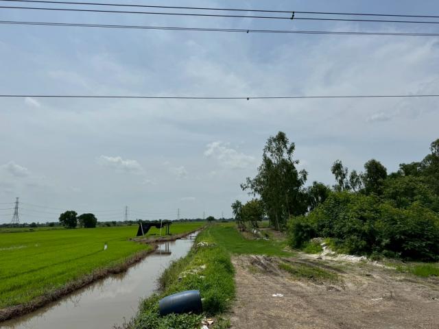 ขายที่ดิน เนื้อที่ 100 ไร่เศษ อ.วังน้อย จังหวัดพระนครศรีอยุธยา