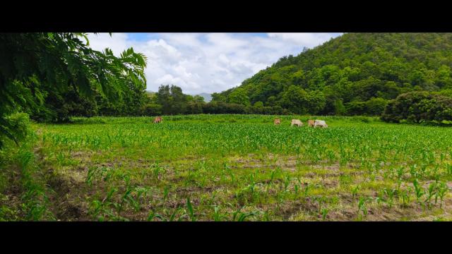 ขายที่ดินเปล่า2เเปลงติดกัน ทำเลดี ด้านหน้าติดถนนดำวิวภูเขา ด้านหลังติดลำธาร อำเภอสันกำแพง จังหวัดเชียงใหม่