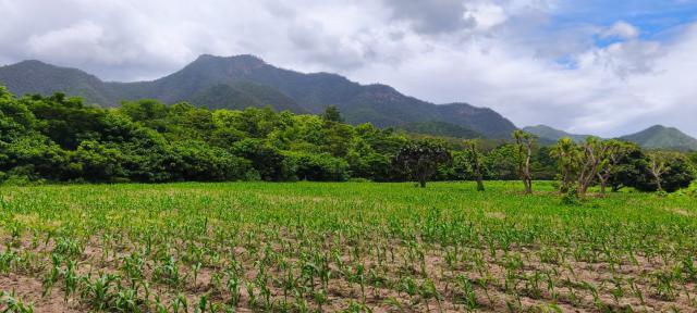 ขายที่ดินเปล่า2เเปลงติดกัน ทำเลดี ด้านหน้าติดถนนดำวิวภูเขา ด้านหลังติดลำธาร อำเภอสันกำแพง จังหวัดเชียงใหม่