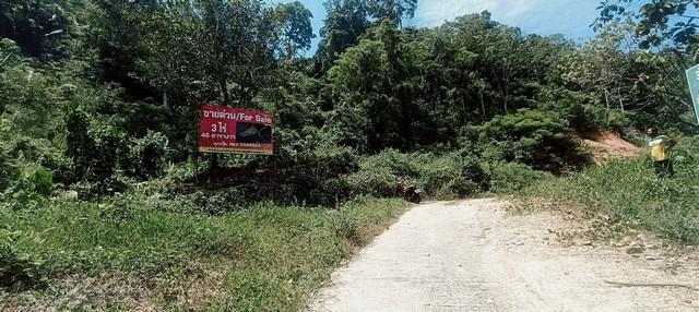 ขายที่เปล่าภูเก็ต...ที่ดินอำเภอกะทู้ ภูเก็ต...ที่ภูเก็ตวิวภูเขา