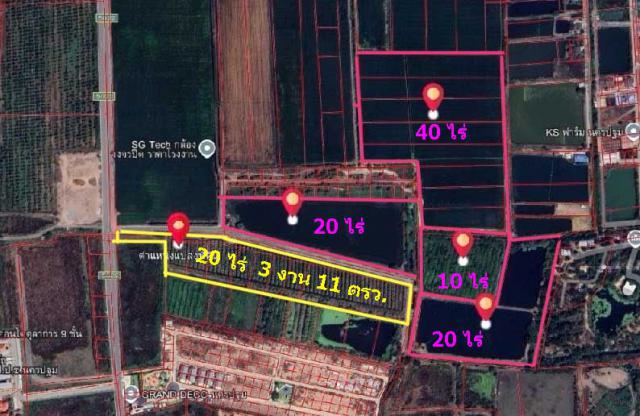 ขายที่ดินเปล่าแปลงใหญ่ ทำเลทอง แปลงสวย ผังเมืองสีชมพู ตรงข้ามศาลากลางจังหวัดนครปฐม 