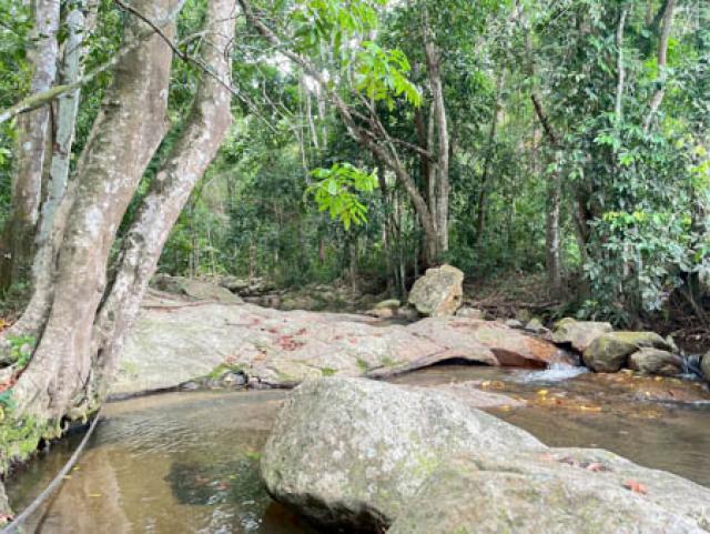 Exclusive Listing 3 Rai Plot in Koh Samui’s Lipa Noi Perfect for Eco-Resort or Luxury Retreat Land Big Plot For Sale in Koh samui 