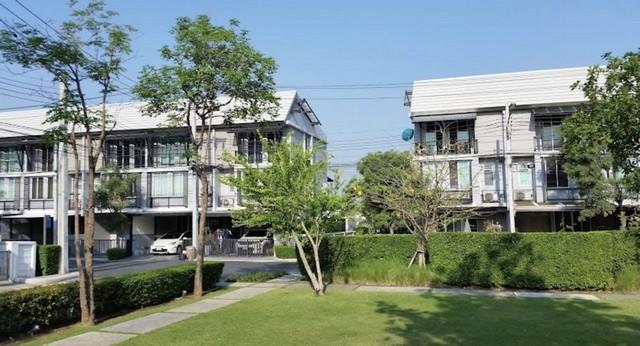 ให้เช่าทาน์โฮม 3 ชั้น 17.4 ตรว. อารียา เดลี่ เกษตร-นวมินทร์  ใกล้วัดลาดปลาเค้า พร้อมเฟอร์นิเจอร์