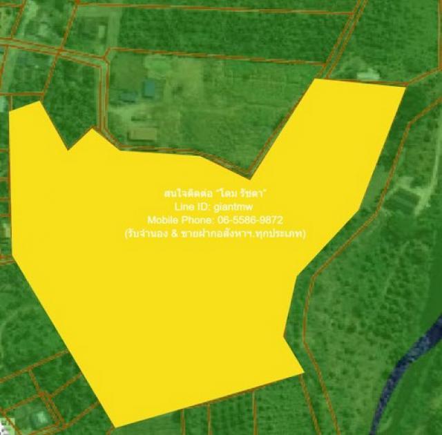 ที่ดิน ขายที่ดินเปล่า หนองหญ้าปล้อง จ.เพชรบุรี (ใกล้ทางหลวง 3510 และ 1015) 32-0-76 ไร่ ราคา 17 ล้านบาท  ขนาดพื้นที่ 32 RAI 0 งาน 76 ตรว.    ทำเลศักยภาพ เพชรบุรี   