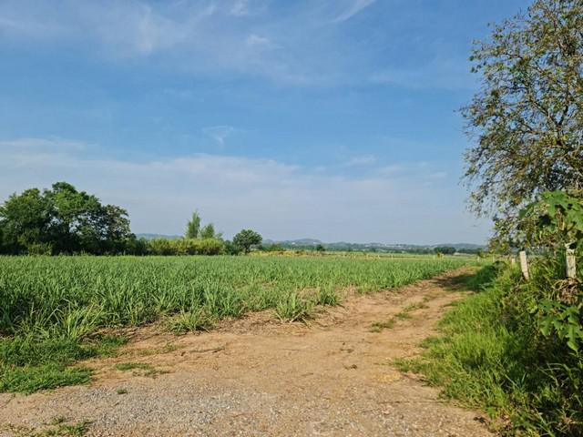 ซื้อเก็บยิ้มรับทรัพย์เฮงๆปังๆ ขายที่ดินปากช่อง 2ไร่- 8ไร่ โฉนด ต.วังไทร อ.ปากช่อง จ.นครราชสีมา ไร่ละ  2.9 ลบ.สูงจากระดับน้ำทะเลมา น้ำไฟพร้อม