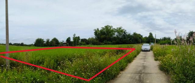 ขายที่ดินที่นา 2งาน 690,000บ. ฟรีโอน ถนนคอนกรีต ประปา ไฟฟ้า ใกล้เทศบาล ต.บวกค้าง อ.สันกำแพง เชียงใหม่