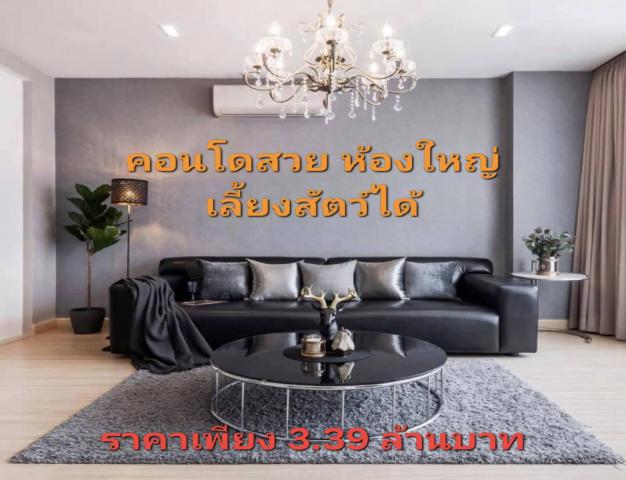 ขายถูก คอนโดเลี้ยงสัตว์ได้ ใจกลางลาดพร้าว 101 – ห้องใหญ่ แต่งครบ พร้อมอยู่ 