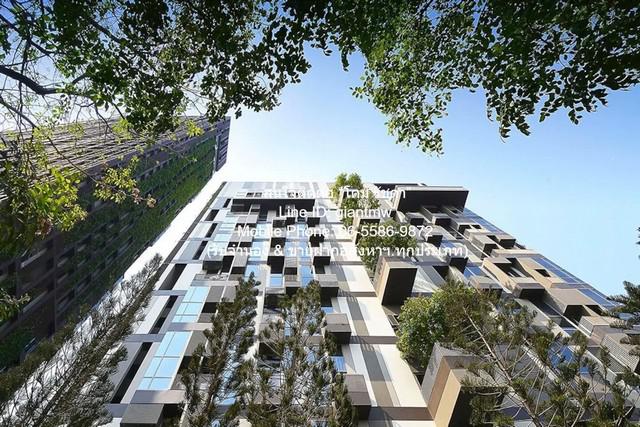 condo. Ideo Morph 38 38 SQUARE METER  ใกล้ รถไฟฟ้า BTS ทองหล่อ ทำเลนี้ห้ามพลาด