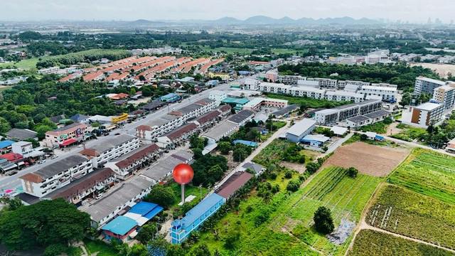 ขายที่ดิน ศรีราชา ที่ดินใกล้สวนเสือ ขายถูก ใกล้มอเตอร์เวย์ TP-L1503