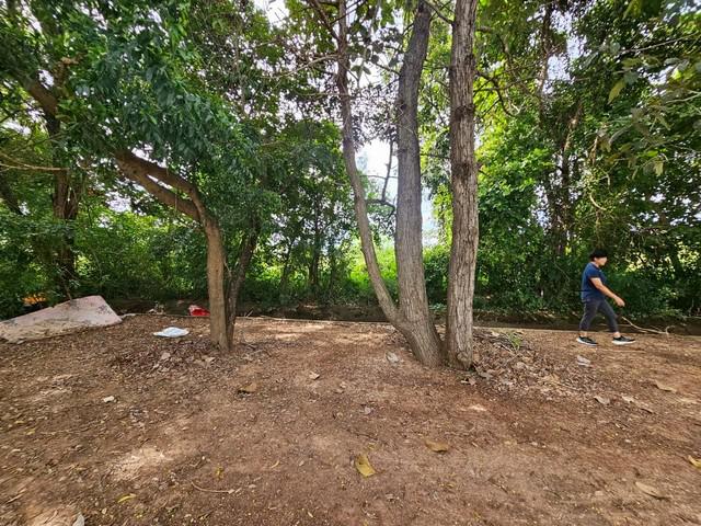 ขายที่ดิน 2ไร่ 2 งาน 42 ตารางวา ใกล้มหาวิทยาลัยมหาสารคาม