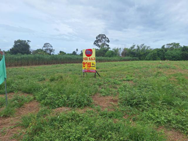 ขายที่ดิน 100 ตรว.  ใกล้เขาชีจรรย์  นาจอมเทียน ชลบุรี