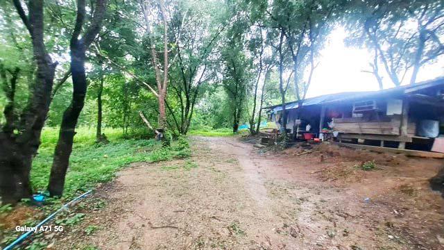 ขายที่ดิน ที่ดินสวย ทำเลดีมาก 36-2-36 ไร่ แม่ระมาด ตาก ใกล้โรงพยาบาลแม่ระมาด เดินทางสะดวก