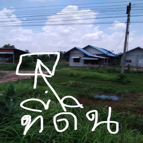 ขายถูก ที่ดิน เนื้อที่ 1 ไร่ ตำบลวังไชย อำเภอบรบือ จังหวัดมหาสารคาม