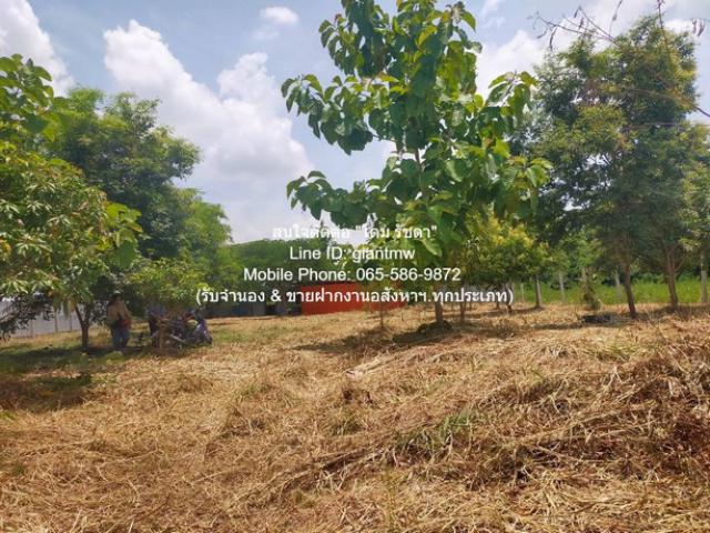 ที่ดิน ขายที่ดินเปล่า 1-0-14.5 ไร่ (414.5 ตร.ว.) ซ.สุวินทวงศ์ ใกล้สนามกอล์ฟฟินิกซ์ โกลด์ กอล์ฟ แบงค็อก 15 SQ.WA 0 งาน 1 RAI  4500000 thb ใกล้กับ ใกล้สนามกอล์ฟฟินิกซ์ โกลด์ กอล์ฟ แบงค็อก (Phoenix Gold Golf Bangkok) ทำเลคุณภาพ กรุงเทพ