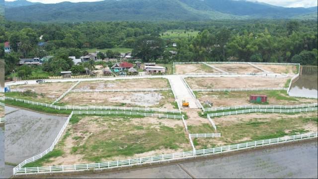 ประกาศขายที่ดินเปล่า วิวเขา 285 ตารางวา แม่ริม เชียงใหม่