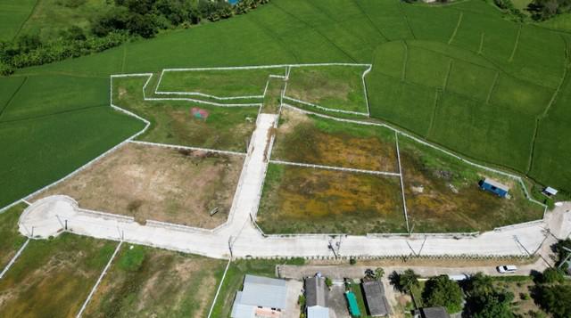 ขายที่ดินเปล่า แม่ริม ห้วยทราย เชียงใหม่  วิวเขา  ใกล้โรงเรียนเปรม 