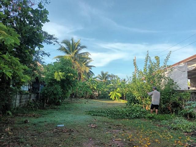 ที่ดิน - พื้นที่ 1 ไร่ 1 NGAN 70 SQ.WA 6270000 BAHT. ใกล้ อำเภอสูงเนิน ราคางาม ใกล้ตัวเมืองสูงเนิน