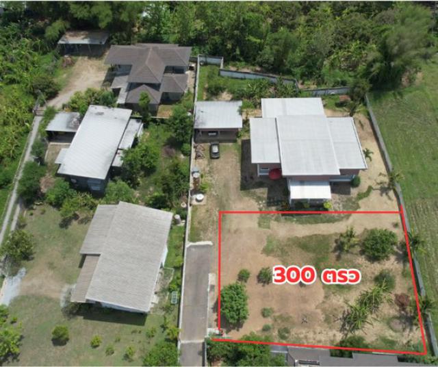 ขายที่ดินวิวภูเขา 300 ตร.ว. ใกล้พืชสวนโลก แม่เหี้ยะ  หนองควาย เชียงใหม่